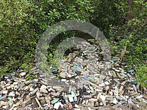 Pollution of plastic bottles in the mangrove forests of Sebatik Island