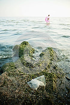 Pollution of the sea with plastic bags. ecology problem.Dirty sea in seaweed. The sea is flowering