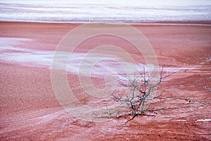 pollution with tailings from the alumina plant in Tulcea, Romania 1