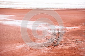 pollution with tailings from the alumina plant in Tulcea, Romania 2