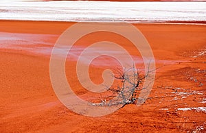 pollution with tailings from the alumina plant in Tulcea, Romania 4