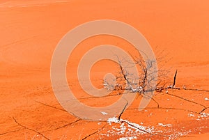 pollution with tailings from the alumina plant in Tulcea, Romania 987