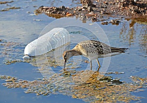 Pollution vs nature