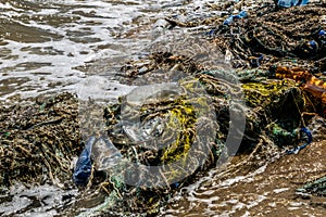 Pollution of the world`s oceans with plastic. Pacific ocean, USA