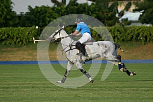 Polo 2 photo