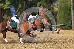 Polo-Cross Men Horses Game Action