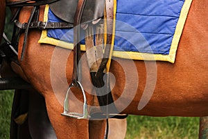 Polo equipment. Saddle and stirrup.