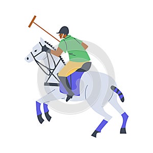 Polo gameplay in action vector illustration