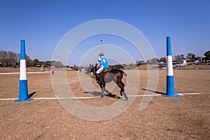 Polo Grounds Riders Horses Shongweni Hillcrest