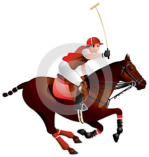 Polo horse and player