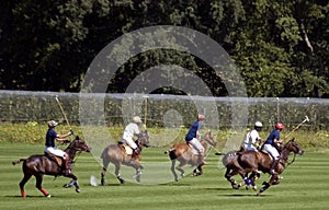 Polo match