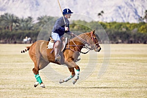 Polo player on galloping horse