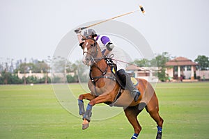 Polo player