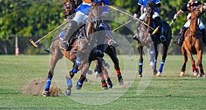 Polo player and Horse during the races