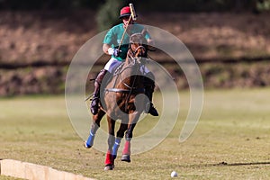 Polo Player Pony Action Balance