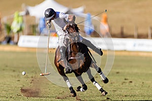 Polo Player Pony Action Ball