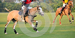 Polo player riding a horse during the match.