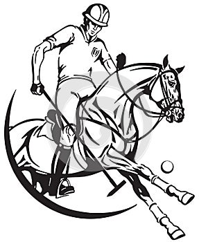 Polo pony horse and player . Equine sport club