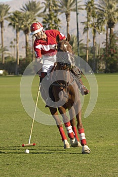 Polo Player Swinging At Ball