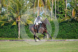 Polo player use a mallet hit ball in tournament.