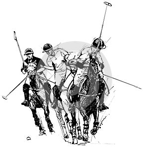 Polo players