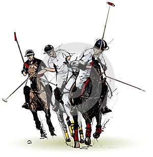 Polo players