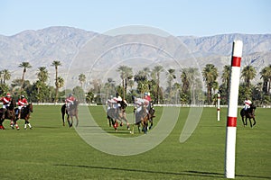 Polo Players Playing Match