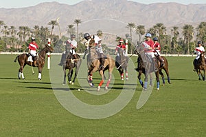 Polo Players Playing Match