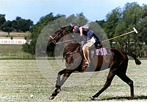 Polo Practice