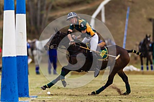 Polo Rider Pony Ball Goals Action