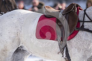 Polo saddle