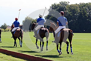 Polo team line-up