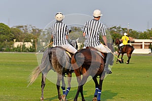 Polo umpires In The Horse Polo filed.
