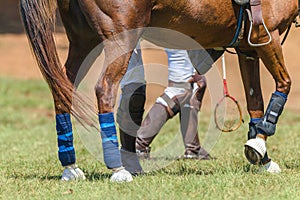 Polocrosse Horse Players Closeup Boots Rackets