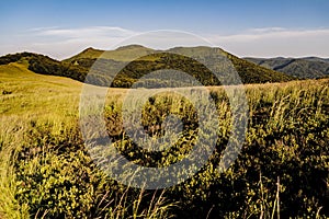 Polonina Wetlinska in the Bieszczady Mountains in Poland