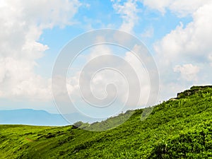 Polonyna Runa, Transcarpathian region. Mountains in spring and summer. Green hills and blue sky. Rocks and ruins in nature.