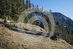 Poludnica, Low Tatras mountains, Slovakia, hiking theme