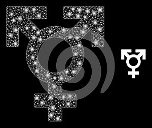 Polyandry Sex Symbol - Bright Web Network with Glare Spots