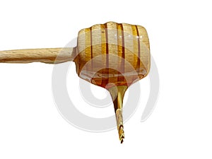 Polyfloral bee honey flowing from a wooden spoon. The concept of beekeeping