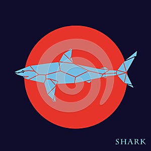 Polygon blue shark on red background.