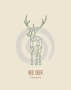 Polygon deer. Low poly animal. Geometric logo icon. Origami style