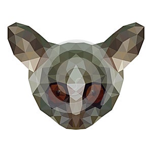 Polygon head senegal bushbaby, Galago senegalensis. Vector image.