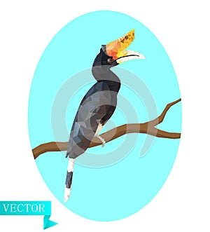 Polygon Hornbill calao, bucerotidae. Sitting on a branch on a background of light blue oval.