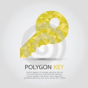 Polygon Key