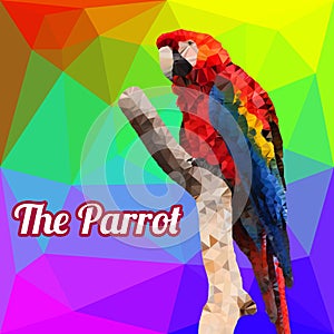 Polygon Vector Parrot