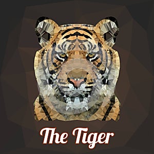 Polygon Vector Tiger Head