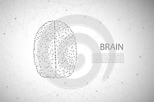Polygonal brain connection