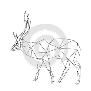 Polygonal deer