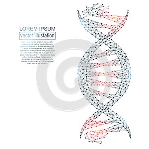 Polygonal DNA abstract image. Low poly wireframe