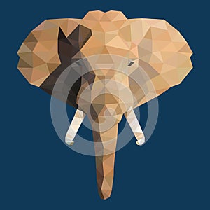 Polygonal face of elephant